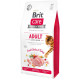 Корм сухий Brit Care Cat Grain Free Adult Activity Support для вуличних та дорослих котів філе індички та курки 7кг