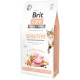 Корм сухий Brit Care Cat Grain Free Sensitive HDigestion Delicate Taste для котів з чутливим травленням індичка та лосось 7кг